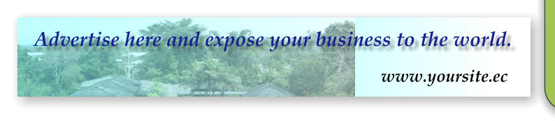 Advertise here and expose your business to the world. www.yoursite.ec